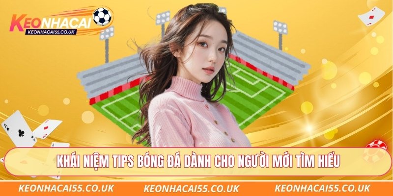 Khái niệm tips bóng đá dành cho người mới tìm hiểu
